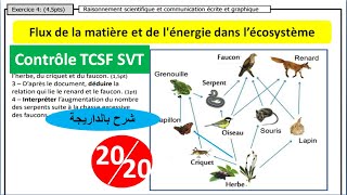 Contrôle TCSF le Transfert de la matière et de lénergie dans lécosystème شرح بالداريجة [upl. by Enellek]