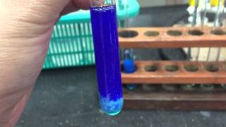 Cation Test CopperII Ions [upl. by Eslehc315]