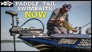 A Beginner’s Guide to Paddle Tail Swimbaits [upl. by Eleumas]