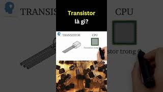 Transistor là gì  Tri thức nhân loại [upl. by Pearlman]