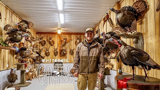 Whitetail Cribs West Virginia Turkey Taxidermy Tour [upl. by Baoj140]