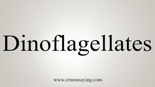 How To Say Dinoflagellates [upl. by Secnarfyram351]