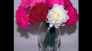 Jak zrobić kwiaty z bibuły Peonia Tissue flowers  Peony DIY [upl. by Jaquiss663]