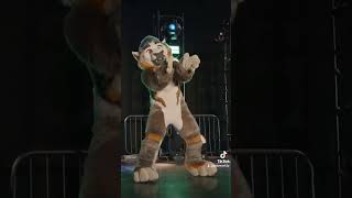 MFF 2022 Dance Comp fursuit furryfandom furrydance mff2022 [upl. by Ayikat403]