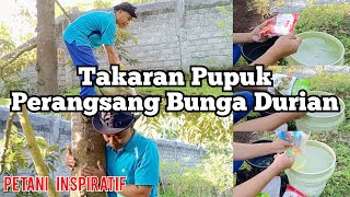 Takaran Pupuk Perangsang Bunga Durian [upl. by Holbrooke526]