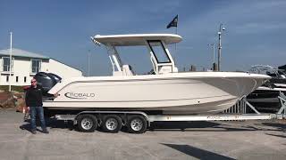 The all new Robalo R272 walkthrough by idealboatcom [upl. by Fortier549]