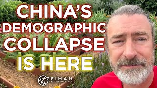 New Chinese Demographic Data  Population Collapse  Peter Zeihan [upl. by Hctim]