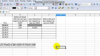 calcul indice évolution et taux [upl. by Sewoll582]