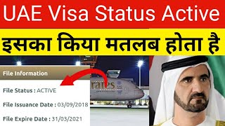 UAE Visa File Status Active Mean  UAE Visa Not Confirmed  UAE Visa File Status check  UAE Flight [upl. by Novi]