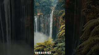 amazon forest 🌲waterfall😭😭trend📈video👍ytubeshort [upl. by Jo-Anne447]