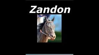 ZANDON ALL Career Starts in 8 min Thumb Up Zandon [upl. by Peery]