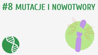 Mutacje i nowotwory 8  Genetyka [upl. by Holli226]