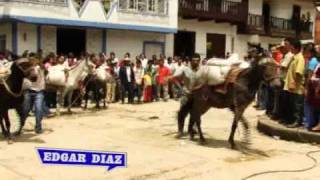 Celebración del día del campesino en Cucutilla [upl. by Cinda]