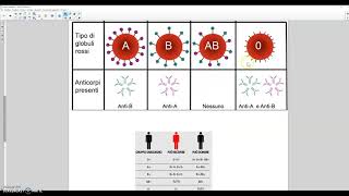 Genetica dei gruppi sanguigni [upl. by Osbert516]