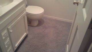 Carpet in the Bathroom Part 1 [upl. by Esorrebma146]