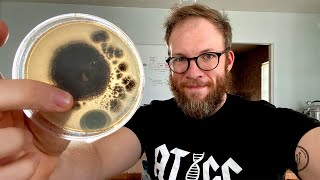 Genetic Engineering of Fungi Plasmids 101 [upl. by Neila]