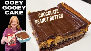 Chocolate Peanut Butter Ooey Gooey Cake Box Cake Mix Recipe [upl. by Granger133]