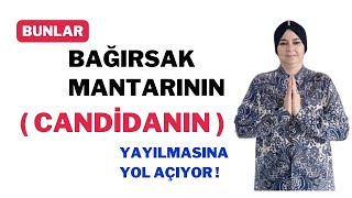 CANDİDA MANTARI YAYILMASINA YOL AÇIYOR BUNLAR BİLİYOR MUSUNUZ  KANDİDA BAĞIRSAK MANTARI NEDİR [upl. by Kohn]