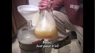 How to Make a Homebrew Yeast Starter [upl. by Ashatan]