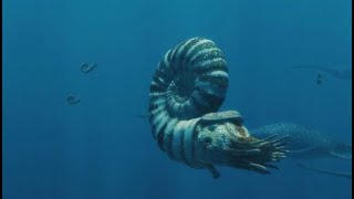 Spirals in Time What Can Ammonites Teach Us About Life in Ancient Oceans’ with James Witts [upl. by Judah]