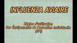 INFLUENZA AVIAIRE  REGLES DUTILISATION DES EPI [upl. by Rasmussen]