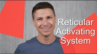 Reticular Activating System [upl. by Jehanna554]