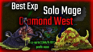 Best Exp for Solo mage  Oramond West  Tibia 2022 [upl. by Geaghan]