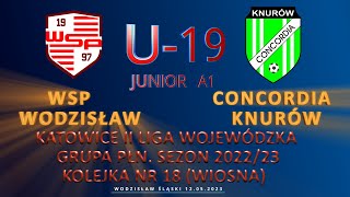 WSP WODZISŁAW ŚLĄSKI  MKS CONCORDIA KNURÓW [upl. by Rogerg]