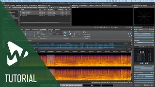 Overview of the Audio Editor in WaveLab Pro  Tutorials [upl. by Niassuh]