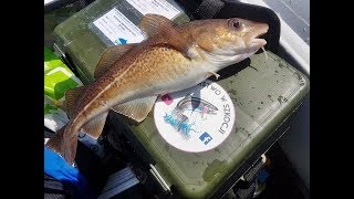 fishing on Torness Nuclear Power StationScotland [upl. by Eural142]