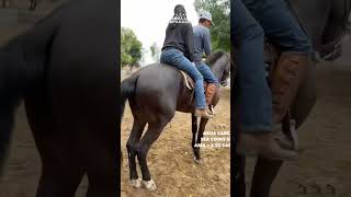 Así puedes hacer de Anancas a tu Caballo 23 [upl. by Chi402]