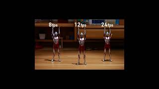 Stop Motion  Series comparing frame rates [upl. by Epolulot]