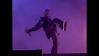 VLOG  CONCERTO TRAVIS SCOTT a MILANO  IDAYS COCACOLA MILANO 2023 [upl. by Annirac]