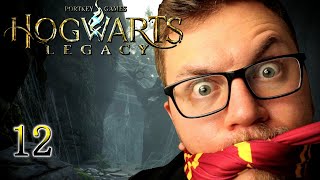 Lawful Good  No HUD  HARD Mode  First Playthrough  Hogwarts Legacy  Ep12  Death [upl. by Annaitsirhc444]