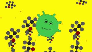 Malolactic Fermentation [upl. by Jeramey]