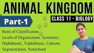 Animal Kingdom Class 11 Biology  Full Chapter  NEET  Part1 [upl. by Ailahk706]