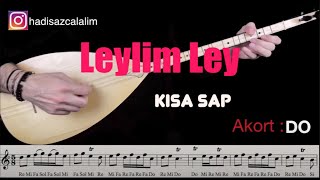 Hadi Saz Çalalım  Leylim Ley [upl. by Adnirim]