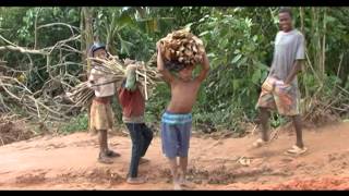 MADA pieds nus sur le chemin de lécole [upl. by Zsa Zsa]