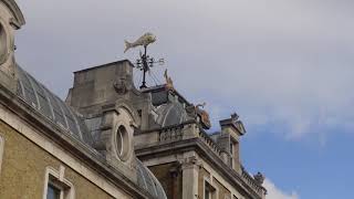 Old Billingsgate Fish Market and Custom HouseCity of London [upl. by Enoved226]