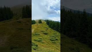 Bucovina de poveste 🌲🏔️romania bucovina bucovinadepoveste [upl. by Ahsiei449]