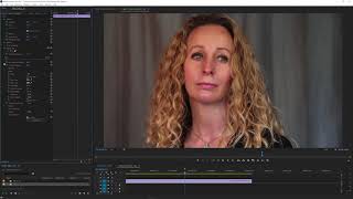 Beauty Box 50 Basics for Adobe Premiere and After Effects [upl. by Llevel272]