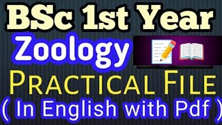 BSc 1st Year zoology Practical File in English bsc2023 [upl. by Tjaden]