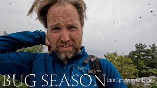 Blackflies and Rainy Skies  Backcountry Spring Canoeing in Killarney [upl. by Fagan809]