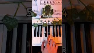 Cardigan  Taylor Swift ❤️ Easy Tutorial Part 1 piano pianotutorial cardigan taylorswift [upl. by Trab236]