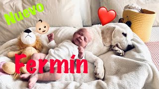 Fermín NUEVO Principito en la Familia de El Principito Reborn [upl. by Holsworth]