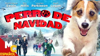 Perro De Navidad  Una navidad Perruna  Peliculas de Navidad Completas en Español HD [upl. by Priest]