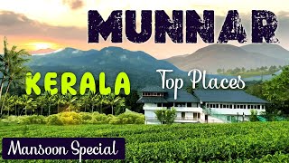 Munnar Best Places to Visit  Exploring Munnar  Kerala Top Tourist Places  Munnar Trip Budget Plan [upl. by Eselahc]