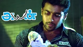 பையன் பிடிச்சிட்டான் எல்லாம் Technology  Ayan Full Movie Scenes  Best Scene  Suriya  Tamannaah [upl. by Ettinger]