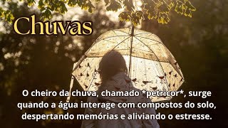 MEDITAÇÃO CONTEMPLATIVA COM MÚSICA RELAXANTE TEMA DIAS DE CHUVA [upl. by Aneg]