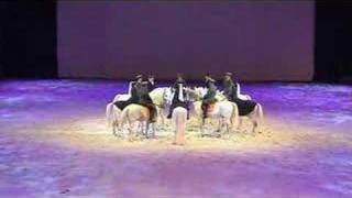 Le Lipizzan Elevage Philip [upl. by Nnylorac851]